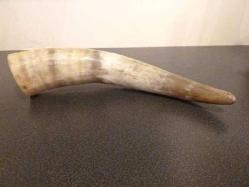 Kemik boynuz, yüzeyi el oyması fil figürleri işli. B: 35 cm