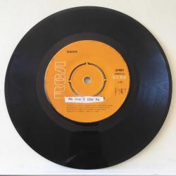 Nada / Ma Che Freddo Fa - Una Rondine Bianca / Turkey 1969 / 45'lik / *pop rock*