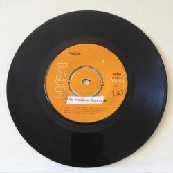 Nada / Ma Che Freddo Fa - Una Rondine Bianca / Turkey 1969 / 45'lik / *pop rock*