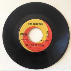 The Shadows – A Place In The Sun / Will You Be There
