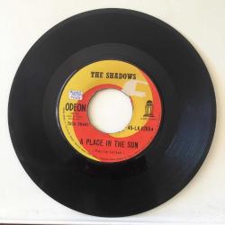 The Shadows – A Place In The Sun / Will You Be There