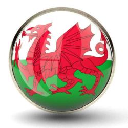 Galler Wales Yaka Rozeti Britanya Adaları Ejder Resimli Camlı Çelik Rozet