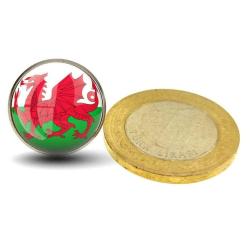Galler Wales Yaka Rozeti Britanya Adaları Ejder Resimli Camlı Çelik Rozet