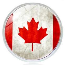 Kanada Canada Bayrağı İğneli Ufak Yaka Rozeti Yaprak 3D Camlı Çelik Beyaz Kırmızı Bayrak Rozet