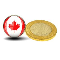 Kanada Canada Bayrağı İğneli Ufak Yaka Rozeti Yaprak 3D Camlı Çelik Beyaz Kırmızı Bayrak Rozet