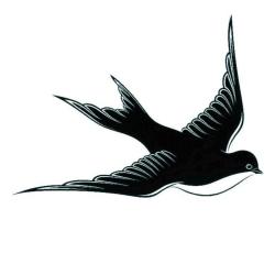 Antika - Geçici Dövme 3D Kuş Barış Güvercin Özgürlük Gerçekçi Su Geçirmez Tattoo Kol Bilek Omuz Sırt Dövmesi - kitantik - kitaLog