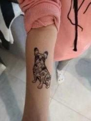 Köpek Bulldog Kaniş Su Geçirmez Tattoo Kol Bilek Omuz Sırt Dövmesi Geçici Dövme