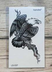 Geçici Dövme Siyah Beyaz Ufak Boy Kara Kartal Dal Ağaç El Kol Dövmesi Tattoo