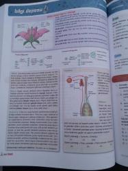 Sınav Yayınları 24 Adımda Özel Konu Anlatımlı Biyoloji Soru Bankası