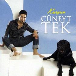 CÜNEYT TEK-cüneyt tek-cd-kurşun-ÇOK NADİR-BASKISI TÜKENDİ- AMBALAJINDA CD
