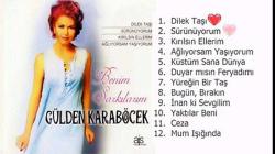 GÜLDEN KARABÖCEK-cd-gülden karaböcek-benim şarkılarım-klasikler 2-ambalajında cd