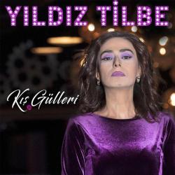 YILDIZ TİLBE-yıldız tilbe kış gülleri-cd-BASKISI TÜKENDİ- AMBALAJINDA CD