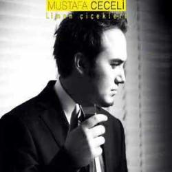 Mustafa ceceli-limon çiçekleri-cd-sıngle-dmc-baskısı tükendi-ambalajında cd
