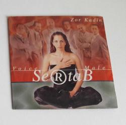 sertab erener-1999-voice male-cd-zor kadın nadir cd