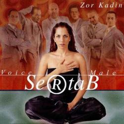 sertab erener-1999-voice male-cd-zor kadın nadir cd