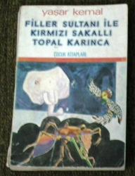 FİKİRLER SULTANI İLE KIRMIZI SAKALLI TOPAL KARIN