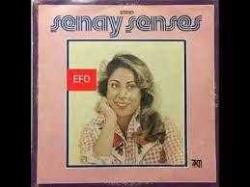 Efemera - Şenay Şenses Anam olasın LP Nadir...45 İlk LP - kitantik - kitaLog