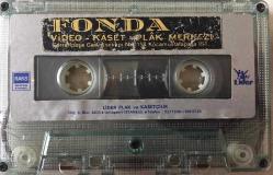 AHMET SELÇUK İLKAN- ŞİİR GÖZLÜM (FAHRİYE ABLA)