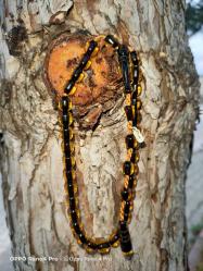 ÜRÜN BÜROKRAT BOY ESKİ İP YOLLARI AŞINMIŞ MÜKEMMEL BİR ATEŞ KEHRİBARDIR İMZALI KOLEKSİYONLUK FIRSAT.