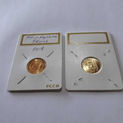 Altın Kaplama 2018 Çil 5 Kuruş Şahıs Altın Kaplama