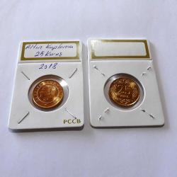 Altın Kaplama 2018 Çil 25 Kuruş Şahıs Altın Kaplama