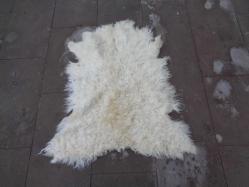 Antika - KEÇİ DERİSİ,DOĞAL TİFTİK KEÇİSİ,YUMUŞAK POST,ARABA KOLTUĞUNA,SECCADE,DERĞAH POSTNİŞ 85 X 70 MULAS - kitantik - kitaLog