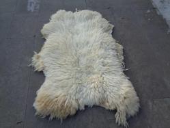 Antika - KOYUN POSTU,DOĞAL KUZU POSTU,TABAKLANMIŞ GERÇEK DERİ,ŞÖMİNE ÖNÜ HALISI,YOGA HALISI 120 X 70 REK - kitantik - kitaLog