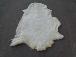 Antika - KOYUN POSTU,HAKİKİ KUZU POSTU,TABAKLANMIŞ GERÇEK DERİ,EVCİL HAYVAN YATAĞI,POSTNİŞİN,108 X 92 CM 2629 - kitantik - kitaLog