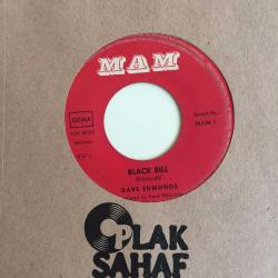 dave edmunds/ i hear you knocking- black bill / 45'lik