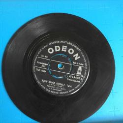 peppino dı caprı - addıo mondo grudele - don't play that song / 45'lik