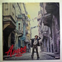 33lük PLAK - ATTİLA ATASOY - Avare (1981) - Dönem Baskı LP