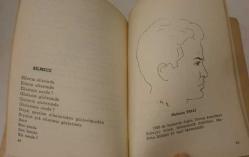 Şiirler - ODTÜ Şiir Kulübü