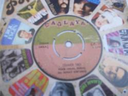 R - İHSAN SARAÇ - Cevahir taşı - Güvendiğin dağlara karlar mı yağdı