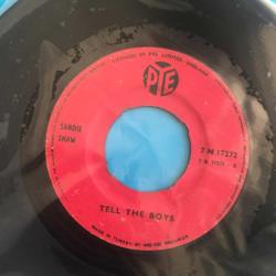 Sandie Shaw / Puppet On A String - Had A Dream Last Night / Germany 1967 / 45'lik / *pop rock* Eurovision 1967