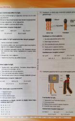 NİTELİK YAYINLARI, 9. SINIF BİYOLOJİ SORU BANKASI