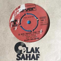 Alain Delorme / Je Reve Souvent D'une Femme - Rien N'a Change / Turkey 1975 / 45'lik / *pop*