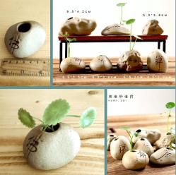 OMENİV'DEN MİNİK BONSAİ SAKSISI SAKSI MİNYATÜR KOLEKSİYON PARÇASI OVAL