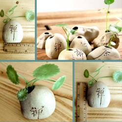 OMENİV'DEN MİNİK BONSAİ SAKSISI SAKSI MİNYATÜR KOLEKSİYON PARÇASI OVAL