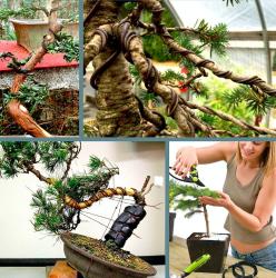 OMENİV'DEN 1.50 MİLİMETRE ÇAPLI 5 METRE BONSAİ BONZAİ GÖVDE DAL ŞEKİLLENDİRME TELİ