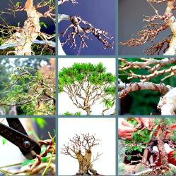 OMENİV'DEN BRONZ TON 1.50 MİLİMETRE ÇAPLI 5 METRE BONSAİ BONZAİ GÖVDE DAL ŞEKİLLENDİRME TELİ