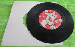 Efemera - HATİCE ONUR-Bağa Girdim Bağ Budanmış.........45 Lik - kitantik - kitaLog