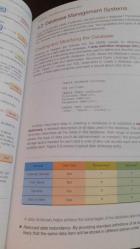 principles of business information systems