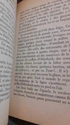 TARTARİN DE TARASCON