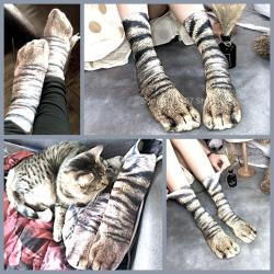 OMENİV'DEN TEKİR KEDİ PATİ DESENLİ UZUN BAYAN ÇORABI ÇORAP SÜPER