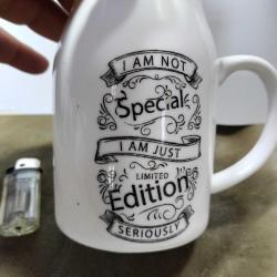 VZ3----PORLAND KULPLU SERAMİK VAZO