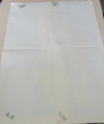 30 MILLIONS D'AMIS LA VIE DES BETES LE BOUVIER BERNOIS POSTER