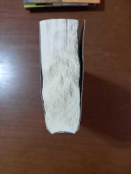 Evliya Çelebi Seyahatnâme'den Seçmeler (ÜRÜN AÇIKLAMA BÖLÜMÜNE BAKINIZ.)