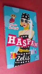 Haspam Havalar Bin Beş Yüz