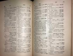Nouveau Dictionnaire Complet Hebreu-Français