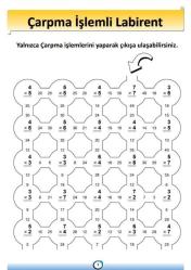 Matematik Öğreten Labirent Kitap Seti (5 Fasikül Kitap)
